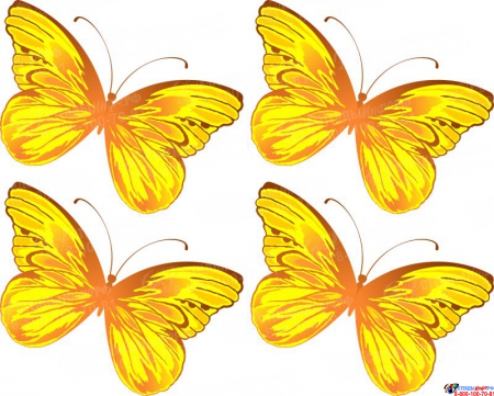 Готовые шаблоны визиток для редактирования онлайн, «бабочки»